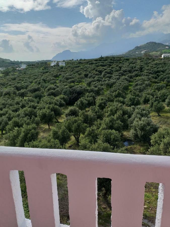 Natural Green Apartment Damnoni Exterior foto